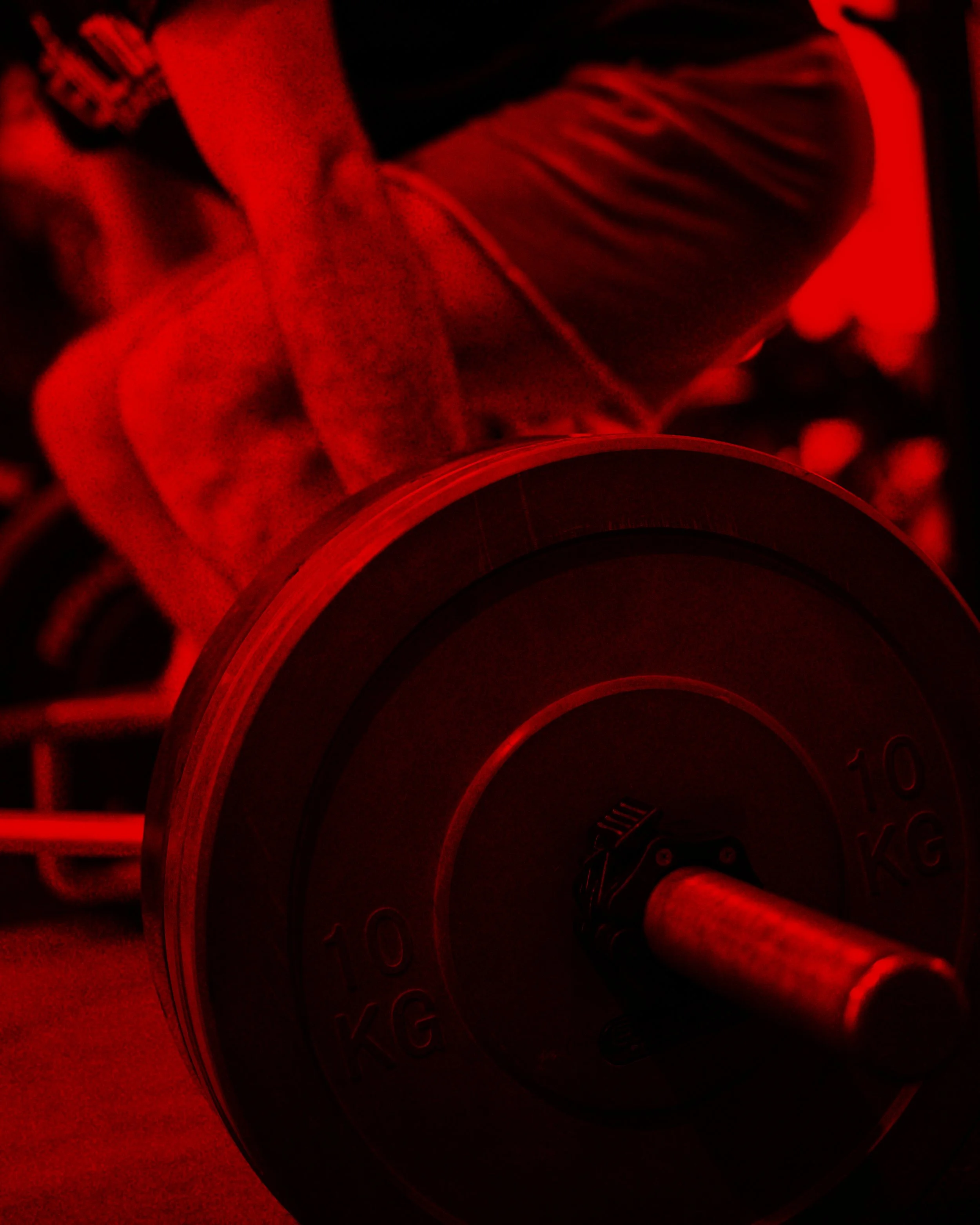 Professional strength training equipment at Evolution MMA